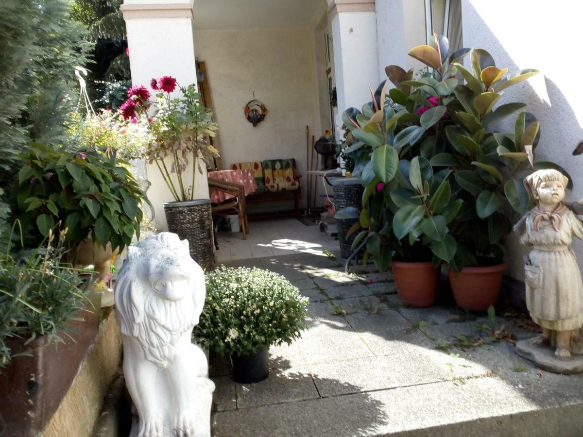 Dach-Studio-Runkel Schadecker Strasse 6 Esterno foto